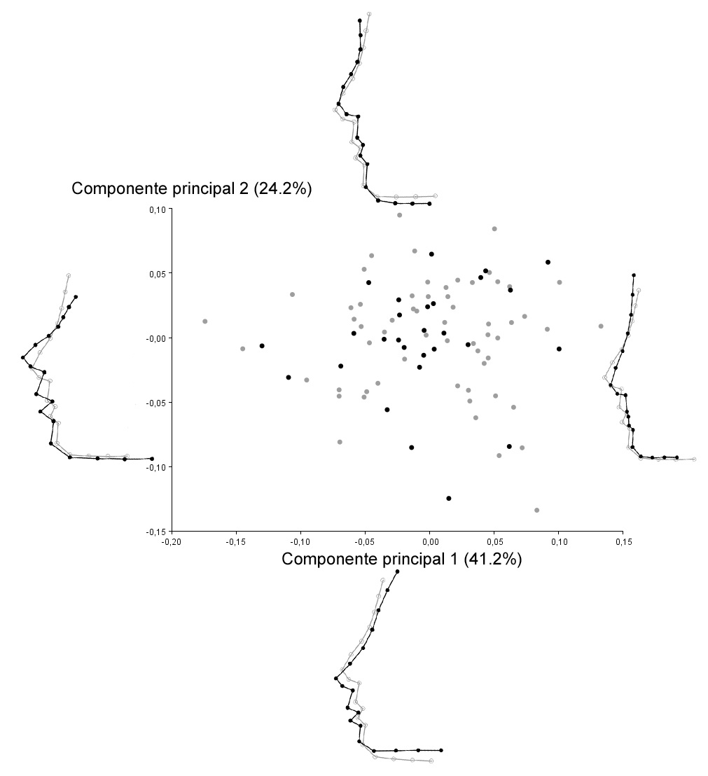 Análisis de componentes principales de las coordenadas de  forma diferenciando el sexo de los retratos (Puntos negros: retratos  femeninos. Puntos grises: retratos masculinos).