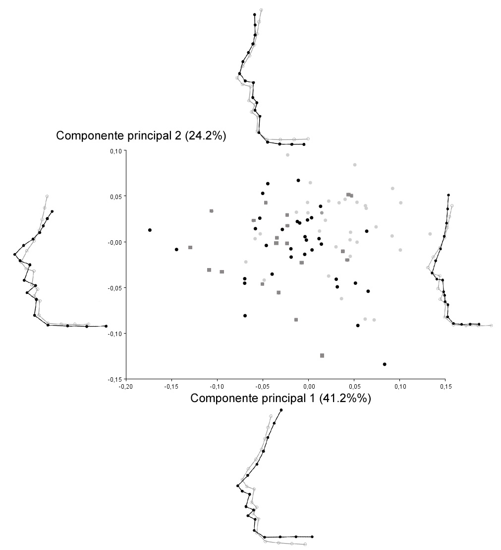 Análisis  de componentes principales de las coordenadas de forma según  estatus social (puntos en gris  claro: Neferhotep y su familia, cuadrados en gris oscuro: elite  tebana, puntos negros: servidores).