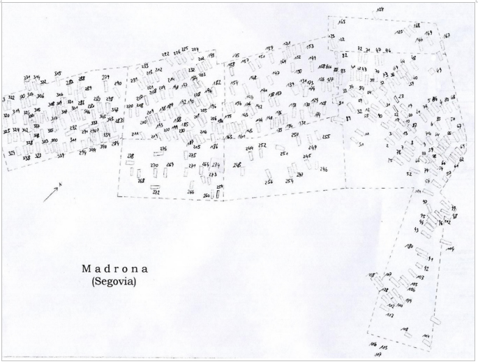 

Planta
del cementerio de Madrona (Jepure, 2012)